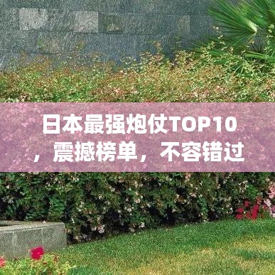 日本最强炮仗TOP10，震撼榜单，不容错过！