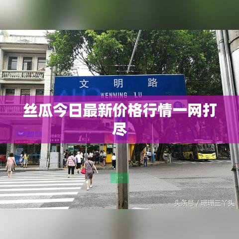 丝瓜今日最新价格行情一网打尽