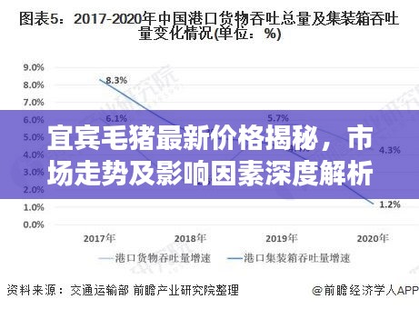 宜宾毛猪最新价格揭秘，市场走势及影响因素深度解析
