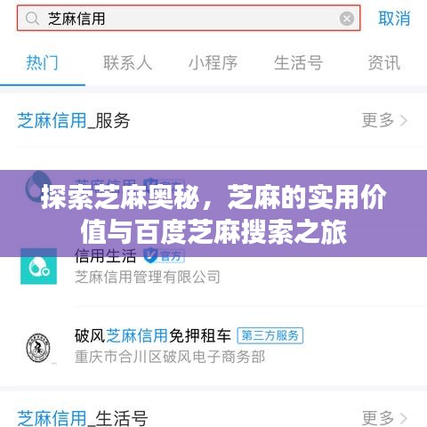 探索芝麻奥秘，芝麻的实用价值与百度芝麻搜索之旅