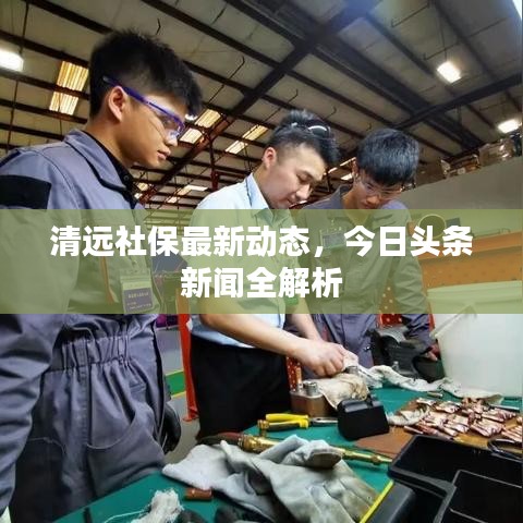 清远社保最新动态，今日头条新闻全解析