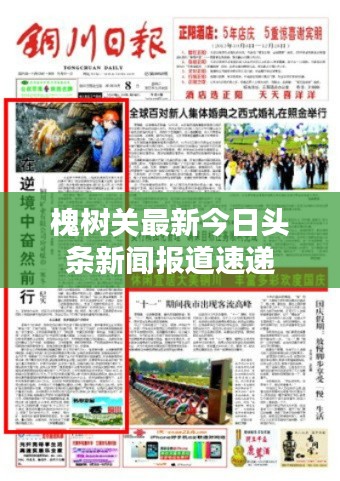 槐树关最新今日头条新闻报道速递