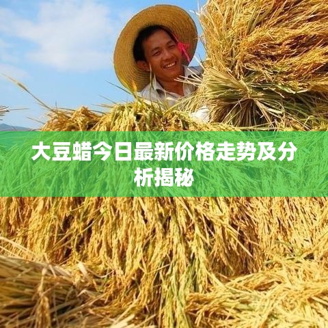 大豆蜡今日最新价格走势及分析揭秘
