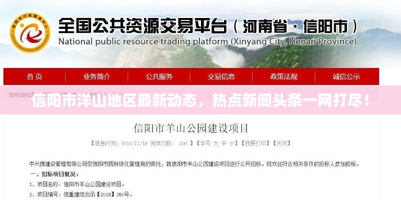 信阳市洋山地区最新动态，热点新闻头条一网打尽！