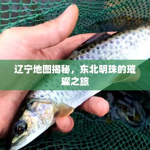 辽宁地图揭秘，东北明珠的璀璨之旅