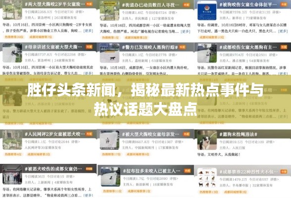 胜仔头条新闻，揭秘最新热点事件与热议话题大盘点