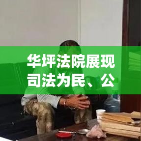 华坪法院展现司法为民、公正高效新时代风采