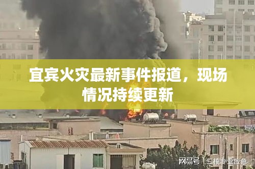 宜宾火灾最新事件报道，现场情况持续更新