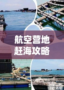 航空营地赶海攻略，最新指南带你玩转海边度假！
