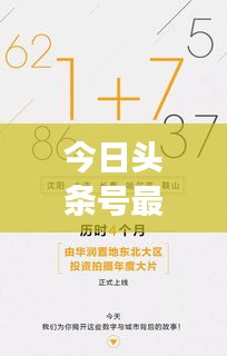 今日头条号最新战报深度解析，数字背后的故事揭秘