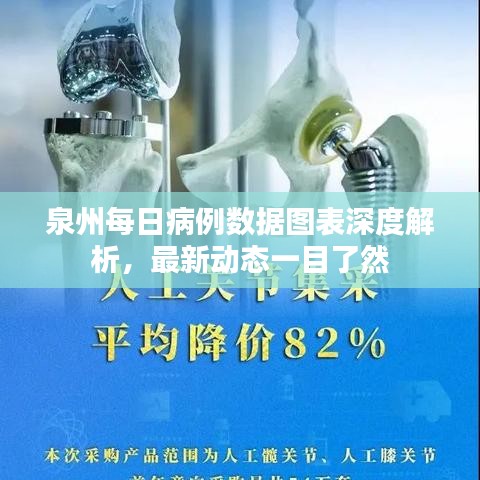 泉州每日病例数据图表深度解析，最新动态一目了然
