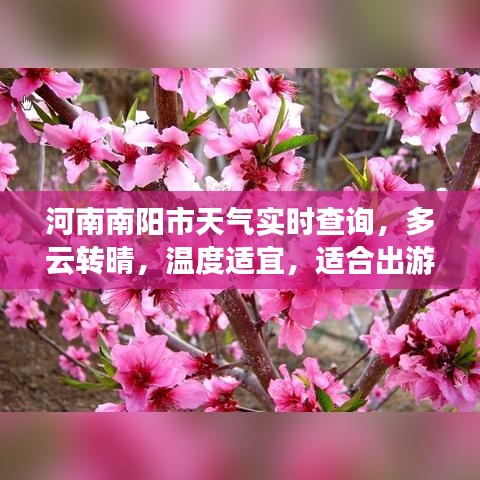2025年5月12日 第4页