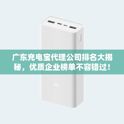 广东充电宝代理公司排名大揭秘，优质企业榜单不容错过！