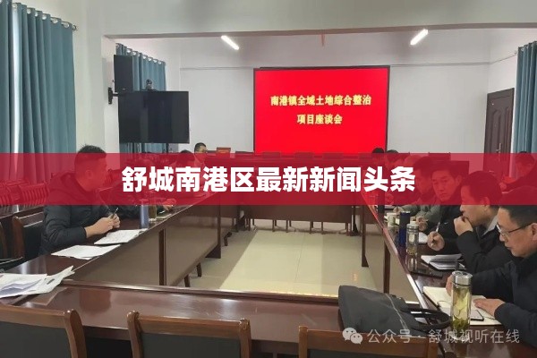 舒城南港区最新新闻头条