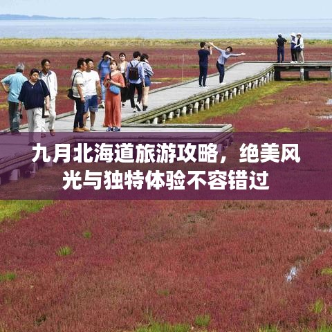 九月北海道旅游攻略，绝美风光与独特体验不容错过