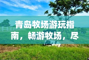 青岛牧场游玩指南，畅游牧场，尽享自然盛宴！