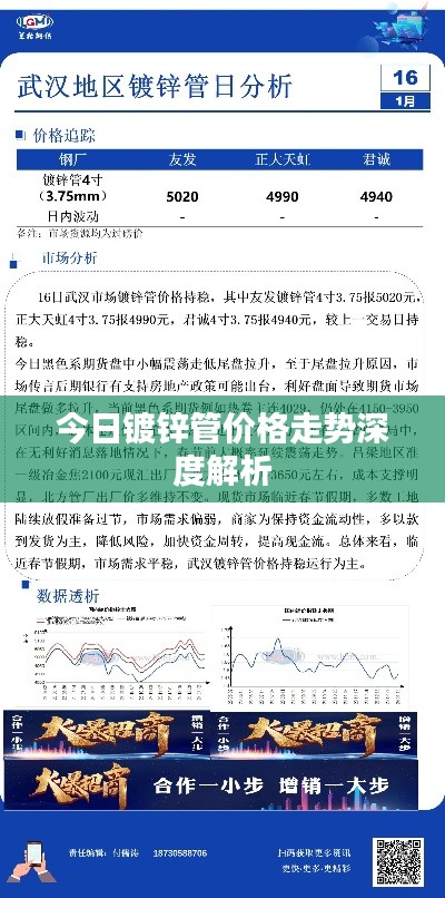 今日镀锌管价格走势深度解析
