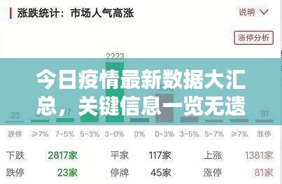 今日疫情最新数据大汇总，关键信息一览无遗