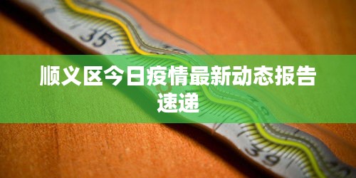 顺义区今日疫情最新动态报告速递