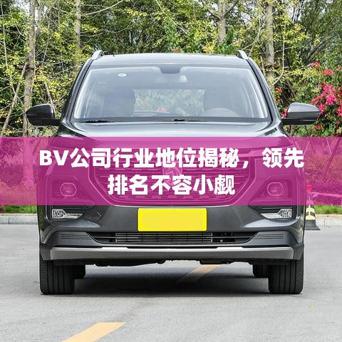BV公司行业地位揭秘，领先排名不容小觑