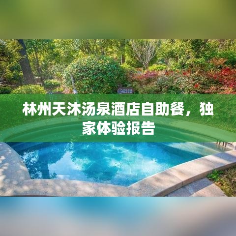 林州天沐汤泉酒店自助餐，独家体验报告