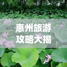 惠州旅游攻略大揭秘，探索城市之美，尽享绝佳体验之旅
