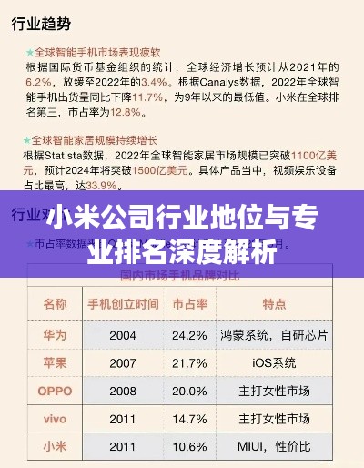 小米公司行业地位与专业排名深度解析