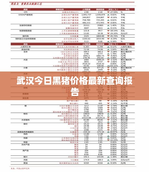武汉今日黑猪价格最新查询报告