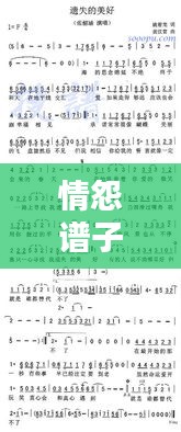 情怨谱子，音乐之美百度呈现