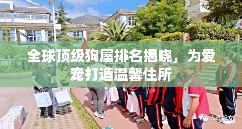 全球顶级狗屋排名揭晓，为爱宠打造温馨住所
