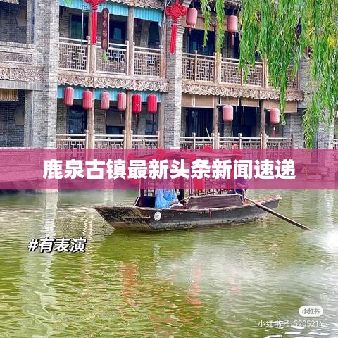 鹿泉古镇最新头条新闻速递