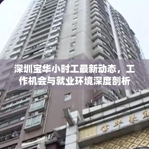 深圳宝华小时工最新动态，工作机会与就业环境深度剖析