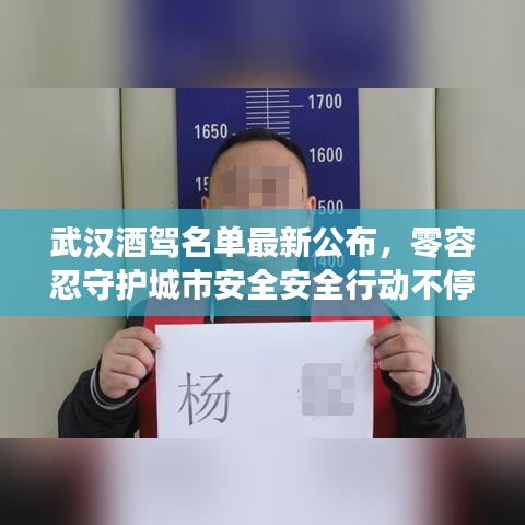 武汉酒驾名单最新公布，零容忍守护城市安全安全行动不停歇