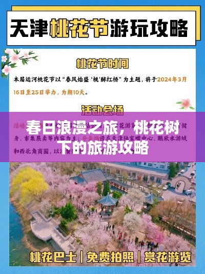 春日浪漫之旅，桃花树下的旅游攻略