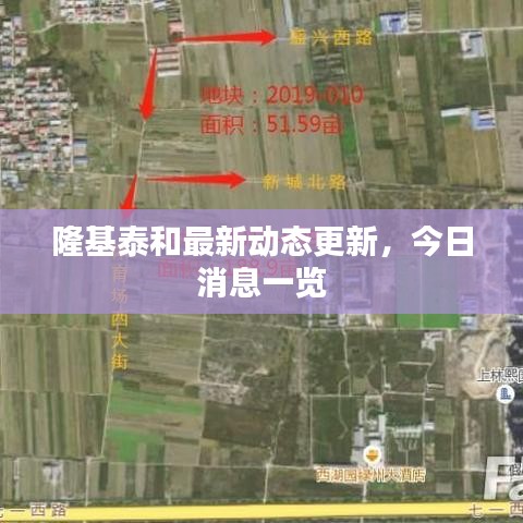 隆基泰和最新动态更新，今日消息一览