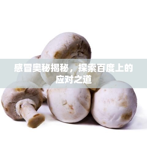感冒奥秘揭秘，探索百度上的应对之道
