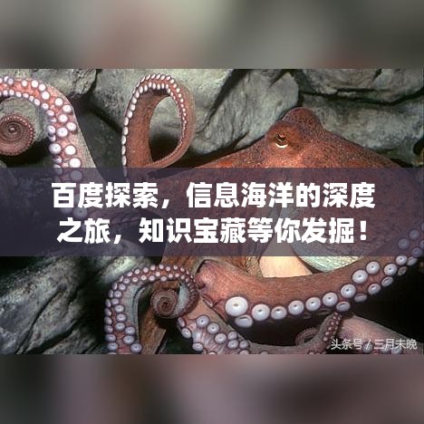 百度探索，信息海洋的深度之旅，知识宝藏等你发掘！