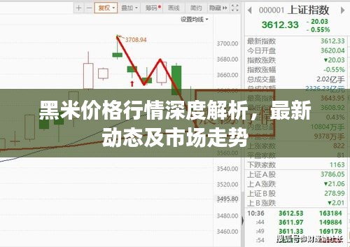 黑米价格行情深度解析，最新动态及市场走势