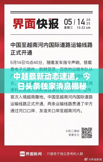 中越最新动态速递，今日头条独家消息揭秘