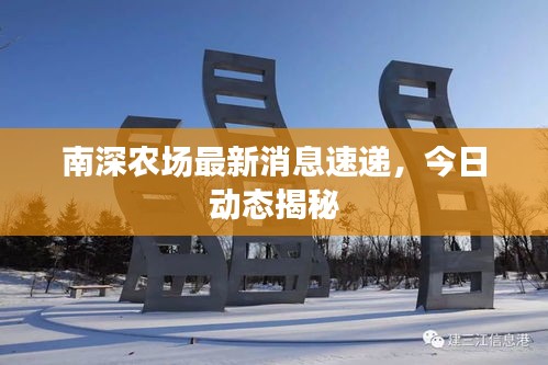 南深农场最新消息速递，今日动态揭秘