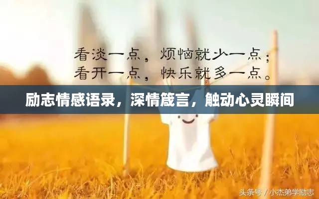 励志情感语录，深情箴言，触动心灵瞬间
