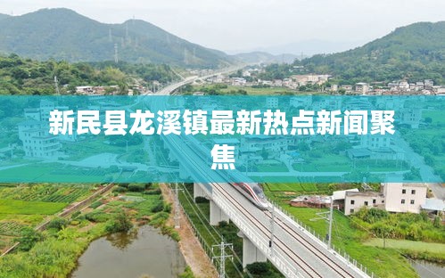 新民县龙溪镇最新热点新闻聚焦