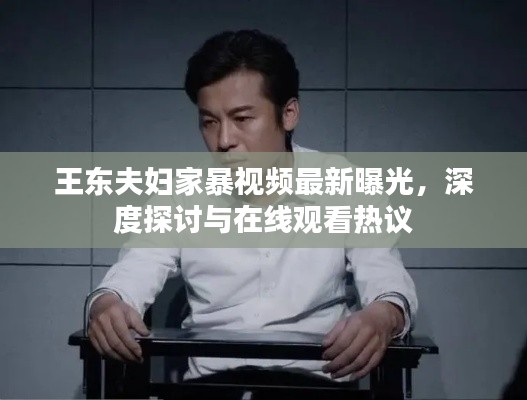 王东夫妇家暴视频最新曝光，深度探讨与在线观看热议