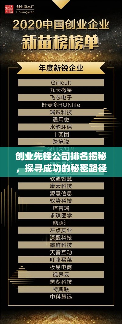 创业先锋公司排名揭秘，探寻成功的秘密路径