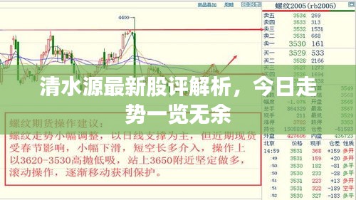 清水源最新股评解析，今日走势一览无余