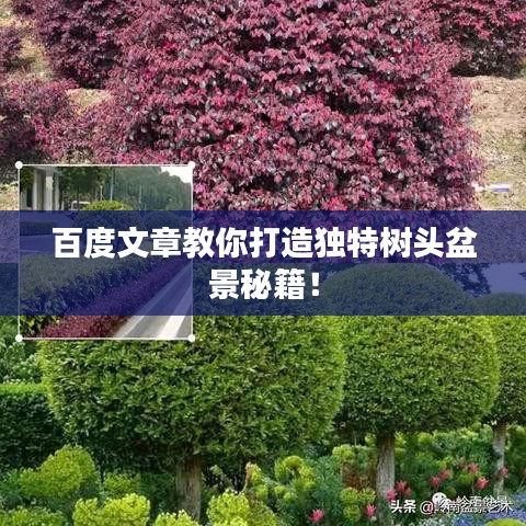 百度文章教你打造独特树头盆景秘籍！