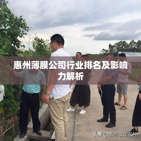 惠州薄膜公司行业排名及影响力解析