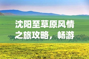 沈阳至草原风情之旅攻略，畅游草原，尽享自然之美