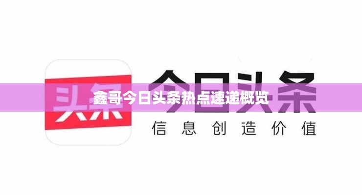 鑫哥今日头条热点速递概览