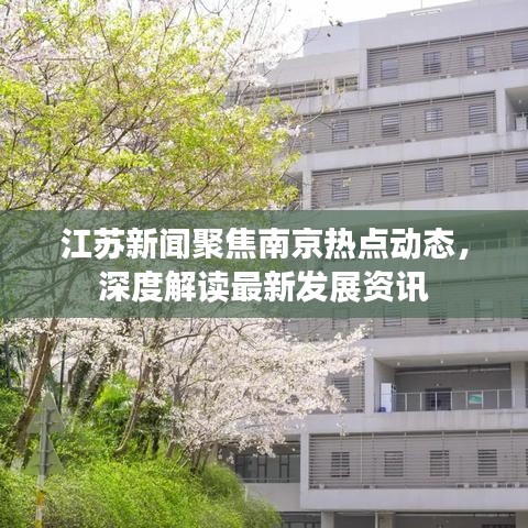 江苏新闻聚焦南京热点动态，深度解读最新发展资讯
